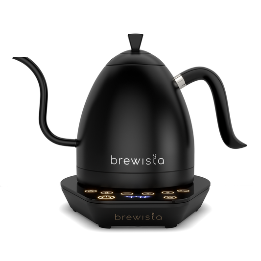 Brewista Artisan 1.0L Gooseneck Variable Kettle – Black Black